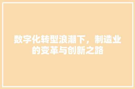 数字化转型浪潮下，制造业的变革与创新之路