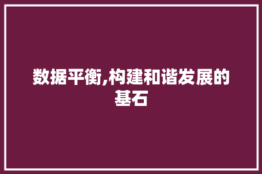 数据平衡,构建和谐发展的基石