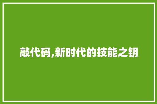 敲代码,新时代的技能之钥