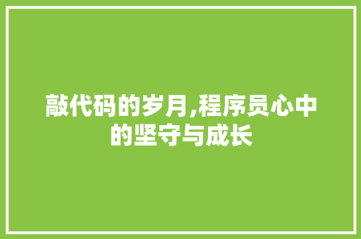 敲代码的岁月,程序员心中的坚守与成长