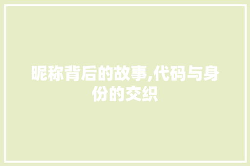 昵称背后的故事,代码与身份的交织