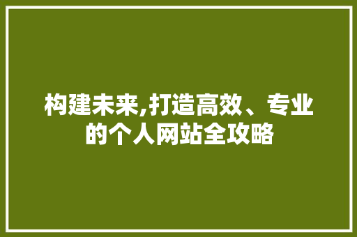 构建未来,打造高效、专业的个人网站全攻略