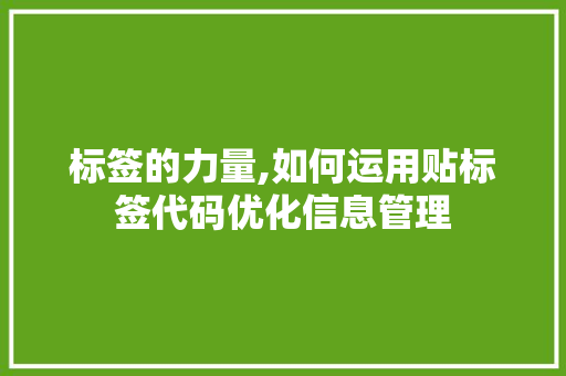标签的力量,如何运用贴标签代码优化信息管理