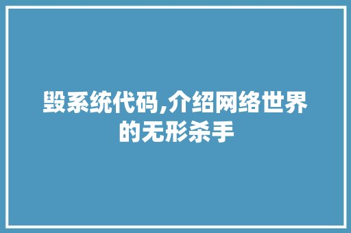 毁系统代码,介绍网络世界的无形杀手