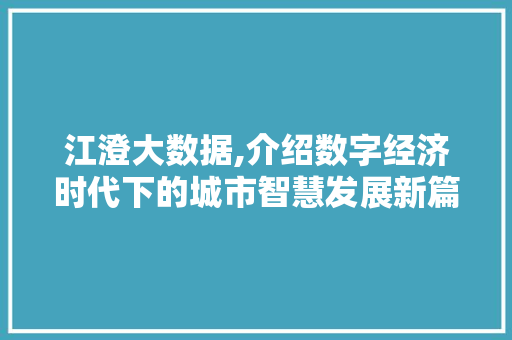 江澄大数据,介绍数字经济时代下的城市智慧发展新篇章