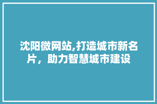 沈阳微网站,打造城市新名片，助力智慧城市建设