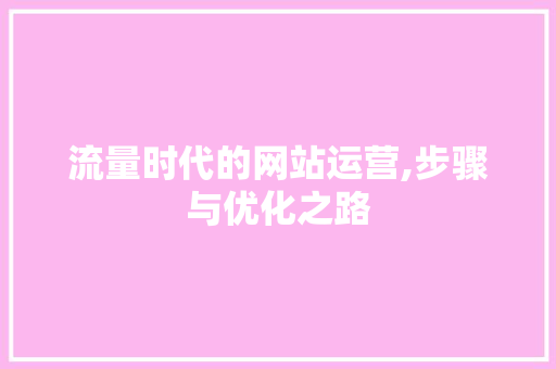 流量时代的网站运营,步骤与优化之路