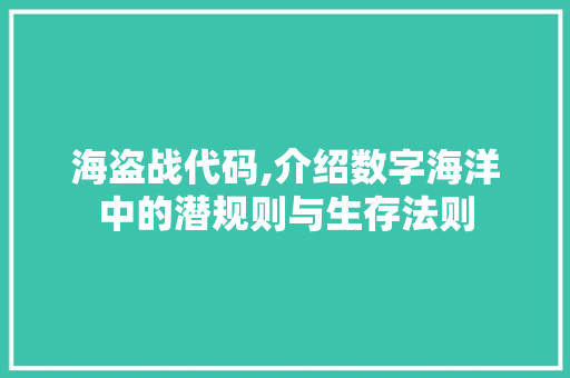 海盗战代码,介绍数字海洋中的潜规则与生存法则