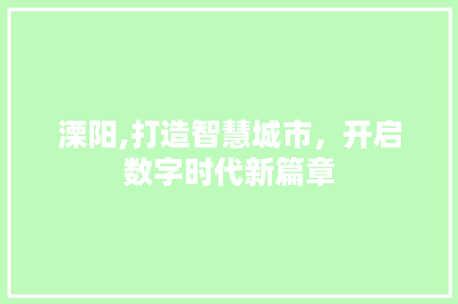 溧阳,打造智慧城市，开启数字时代新篇章