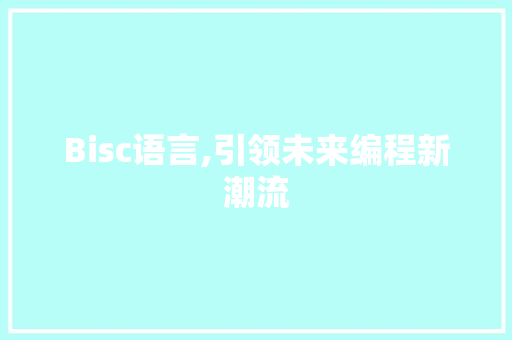 Bisc语言,引领未来编程新潮流