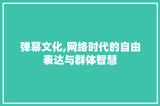弹幕文化,网络时代的自由表达与群体智慧