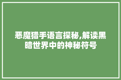恶魔猎手语言探秘,解读黑暗世界中的神秘符号