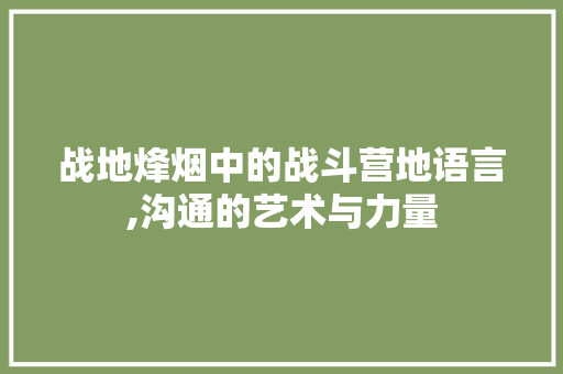 战地烽烟中的战斗营地语言,沟通的艺术与力量