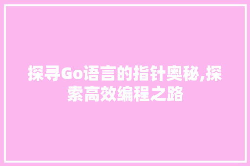 探寻Go语言的指针奥秘,探索高效编程之路