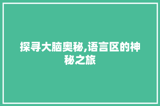 探寻大脑奥秘,语言区的神秘之旅