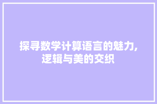 探寻数学计算语言的魅力,逻辑与美的交织