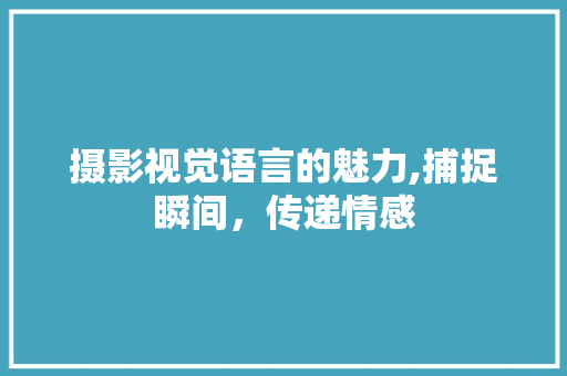 摄影视觉语言的魅力,捕捉瞬间，传递情感