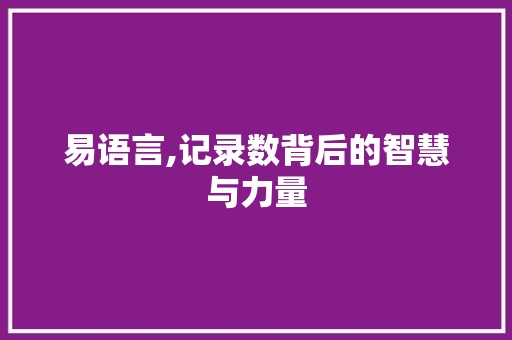 易语言,记录数背后的智慧与力量