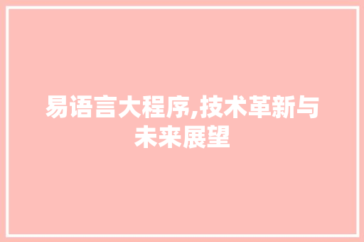 易语言大程序,技术革新与未来展望