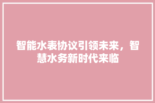 智能水表协议引领未来，智慧水务新时代来临