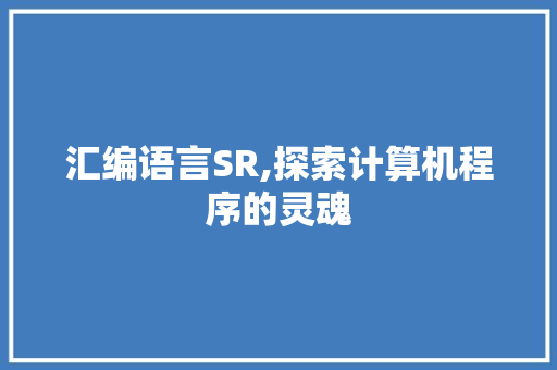 汇编语言SR,探索计算机程序的灵魂