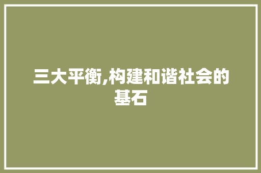 三大平衡,构建和谐社会的基石