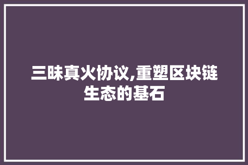 三昧真火协议,重塑区块链生态的基石