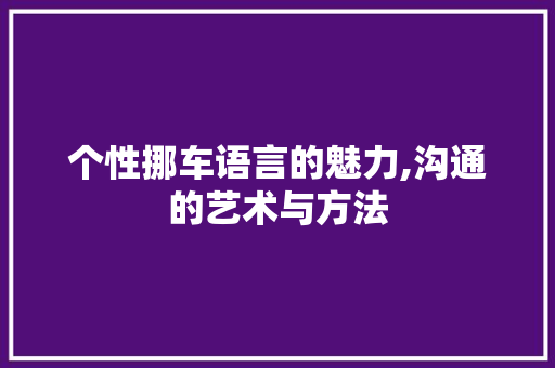 个性挪车语言的魅力,沟通的艺术与方法