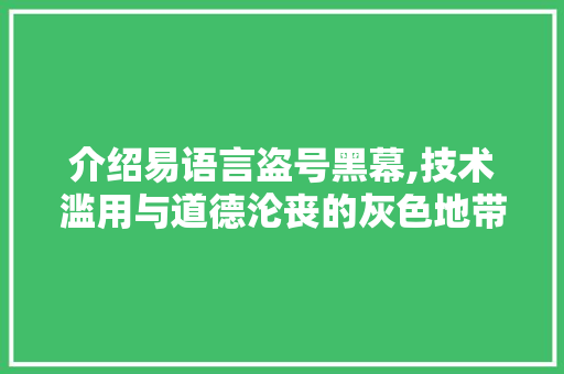 介绍易语言盗号黑幕,技术滥用与道德沦丧的灰色地带