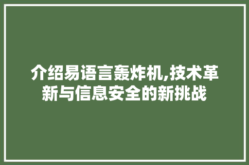 介绍易语言轰炸机,技术革新与信息安全的新挑战