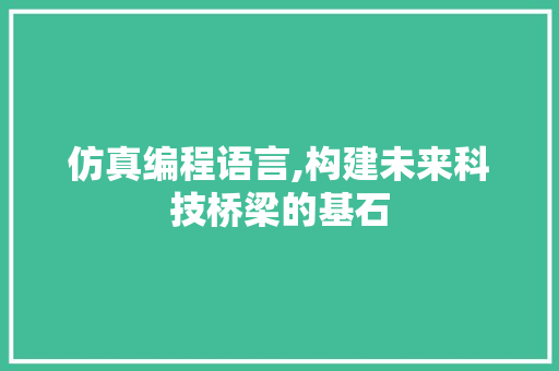 仿真编程语言,构建未来科技桥梁的基石