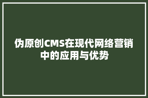 伪原创CMS在现代网络营销中的应用与优势