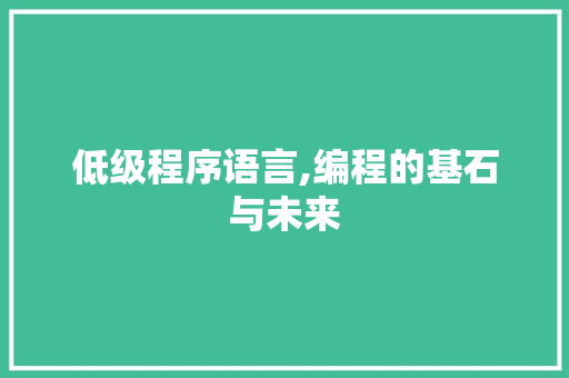 低级程序语言,编程的基石与未来