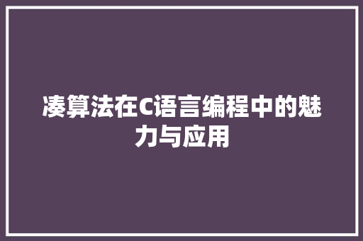 凑算法在C语言编程中的魅力与应用
