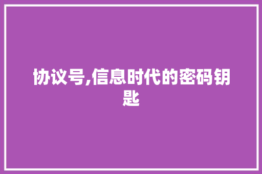 协议号,信息时代的密码钥匙