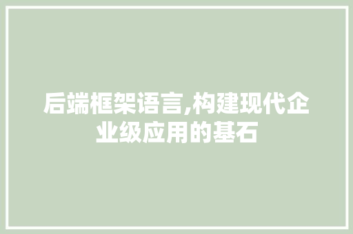 后端框架语言,构建现代企业级应用的基石