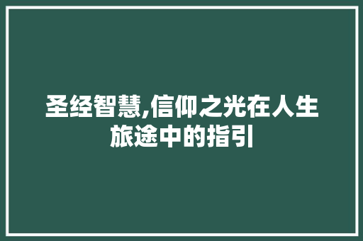 圣经智慧,信仰之光在人生旅途中的指引
