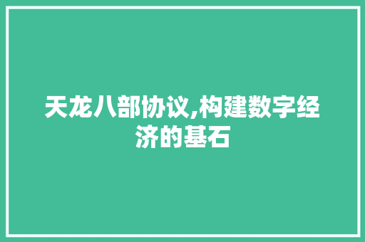 天龙八部协议,构建数字经济的基石