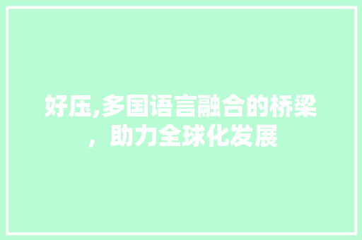 好压,多国语言融合的桥梁，助力全球化发展