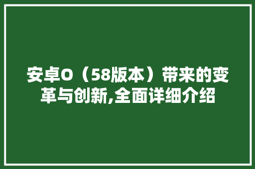 安卓O（58版本）带来的变革与创新,全面详细介绍