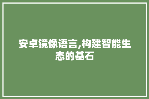 安卓镜像语言,构建智能生态的基石