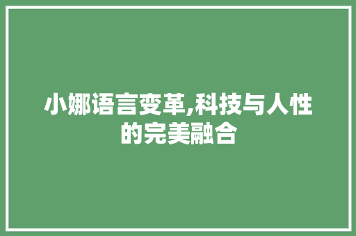 小娜语言变革,科技与人性的完美融合