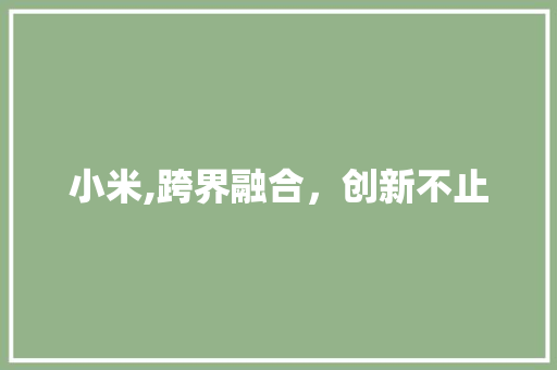 小米,跨界融合，创新不止