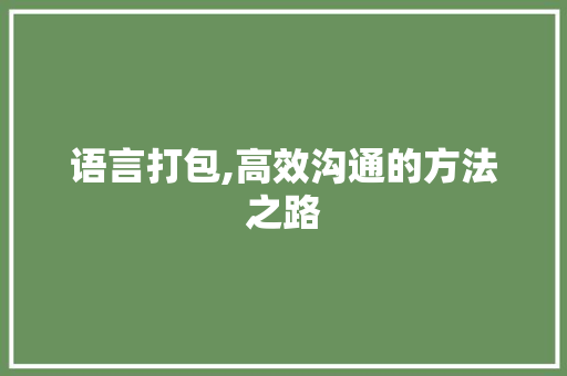 语言打包,高效沟通的方法之路