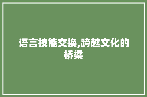 语言技能交换,跨越文化的桥梁