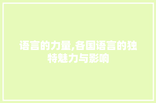 语言的力量,各国语言的独特魅力与影响