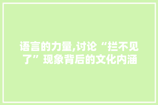 语言的力量,讨论“拦不见了”现象背后的文化内涵