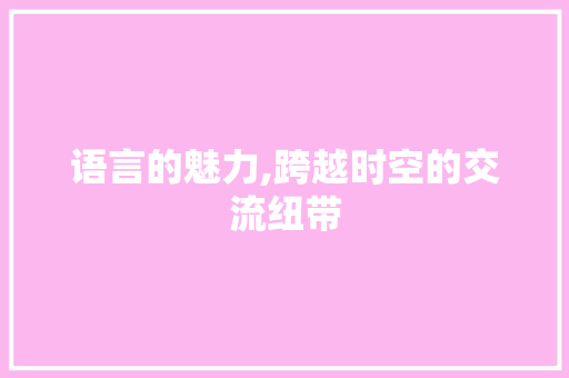 语言的魅力,跨越时空的交流纽带