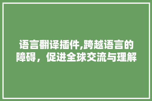 语言翻译插件,跨越语言的障碍，促进全球交流与理解