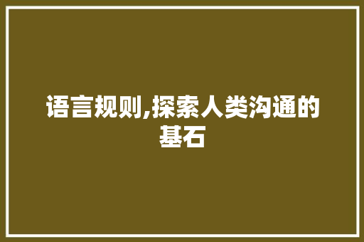 语言规则,探索人类沟通的基石